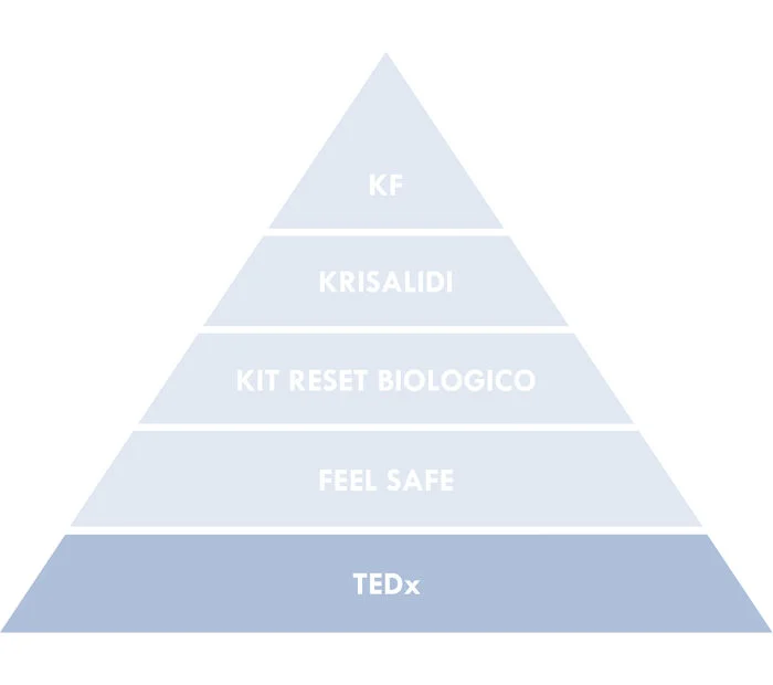 Il posto di TEDx nel percorso Krisalidi